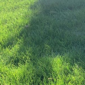 Meet your Posher, Perla